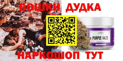 мдпв Обь