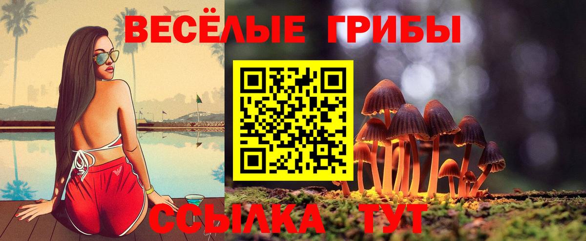Псилоцибиновые грибы ЛСД  Псилоцибиновые грибы MAGIC MUSHROOMS  Вход с VPN  как найти   Солнечногорск 